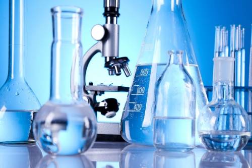 De-Paul school, Vidhyanagar